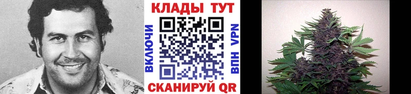Купить закладку Кокаин Альфа ПВП Мефедрон LSD-25 МАРИХУАНА ГАШ Кореновск