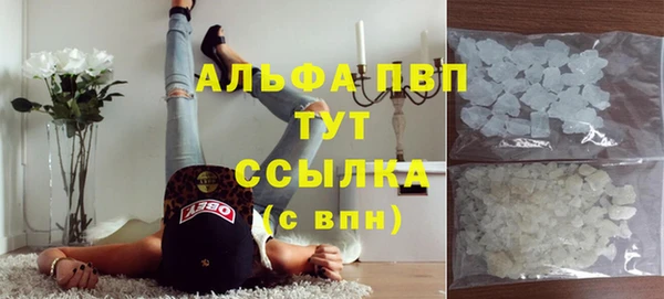 спиды Карталы