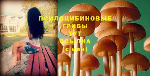 гидра Касимов