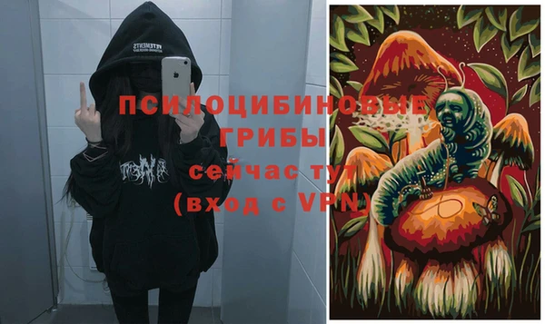 амф Карпинск