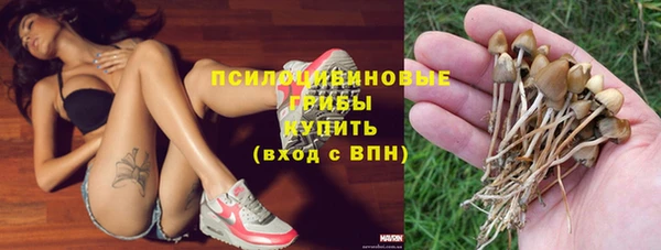 гидра Касимов