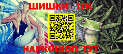 шишки Аргун