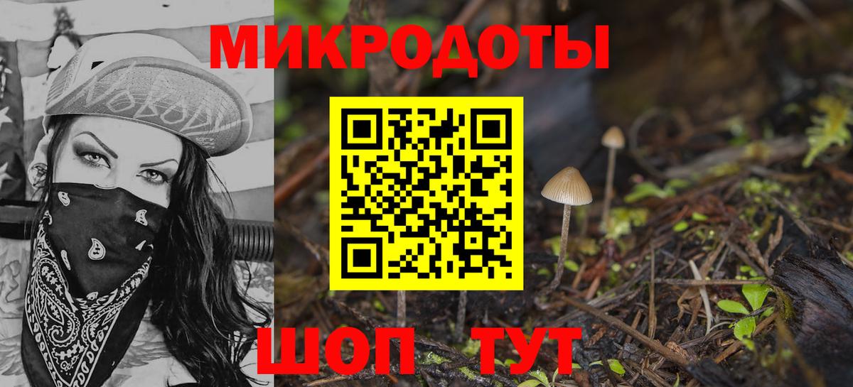 Псилоцибиновые грибы прущие грибы Кореновск